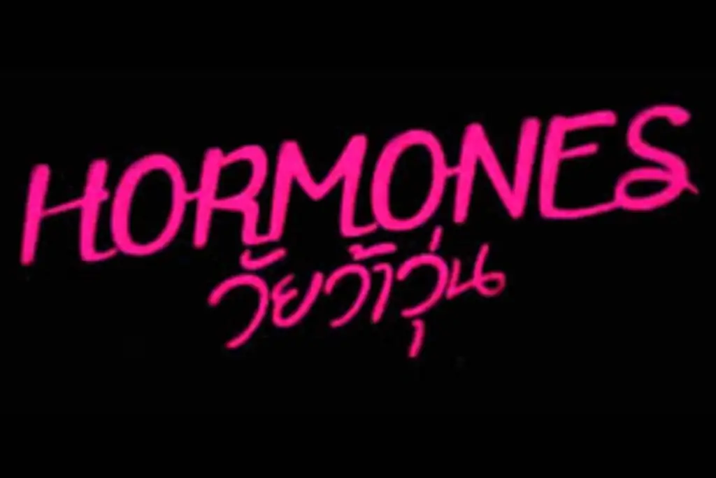 Hormones The Series